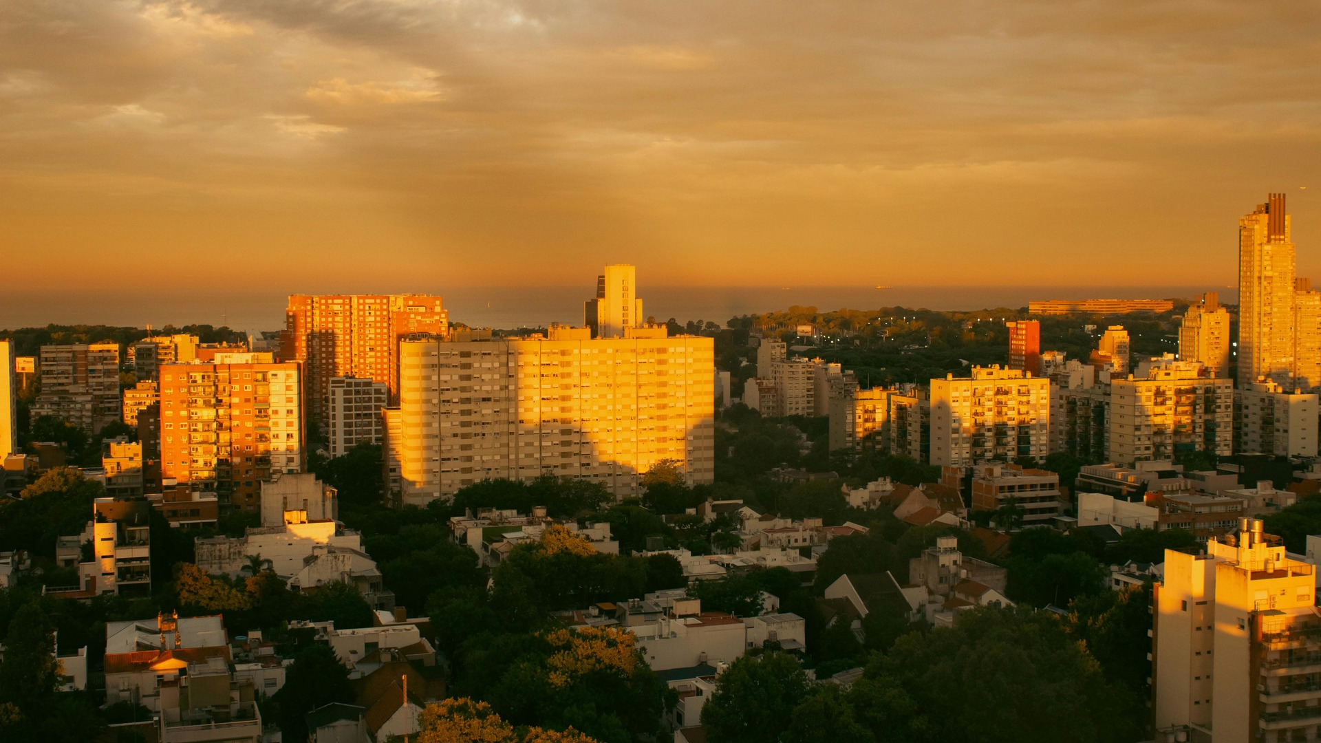 City skyline at golden hour